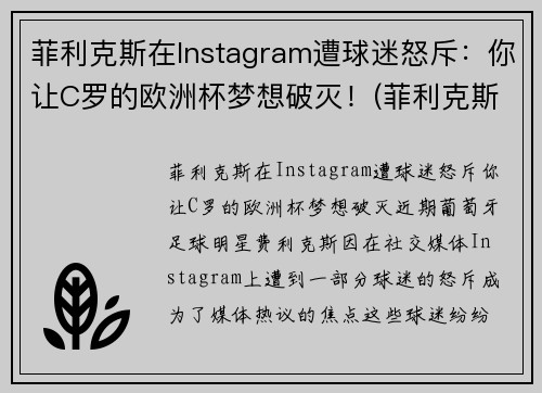 菲利克斯在Instagram遭球迷怒斥：你让C罗的欧洲杯梦想破灭！(菲利克斯转会)