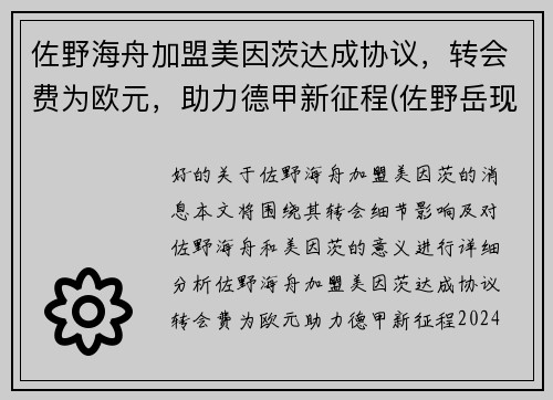 佐野海舟加盟美因茨达成协议，转会费为欧元，助力德甲新征程(佐野岳现状)