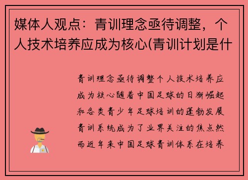 媒体人观点：青训理念亟待调整，个人技术培养应成为核心(青训计划是什么意思)